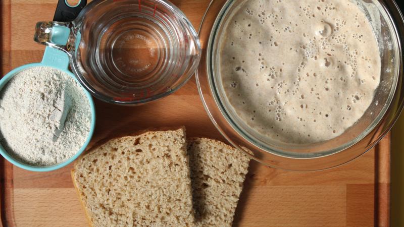 Sour Dough Bread